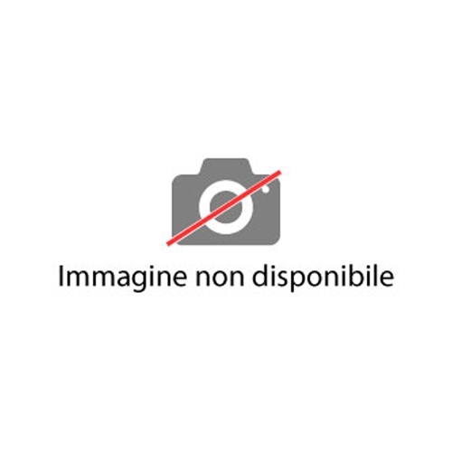 Confezione Di 10 Pile Alcaline 1.5V Formato “C” PARADOX LR14AD/10BB (ULC1P) Allarme Antifurto Antintrusione