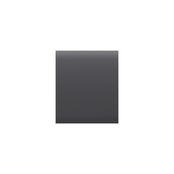 Tasto Per Lightswitch Ajax Centerbutton (1-Gang/2-Way) Graphite 52174