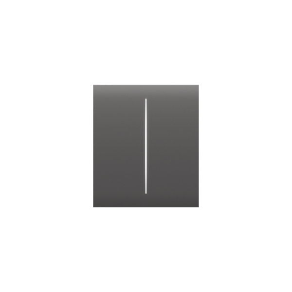 Tasto Per Lightswitch Ajax Centerbutton (2-Gang) Grey 52183